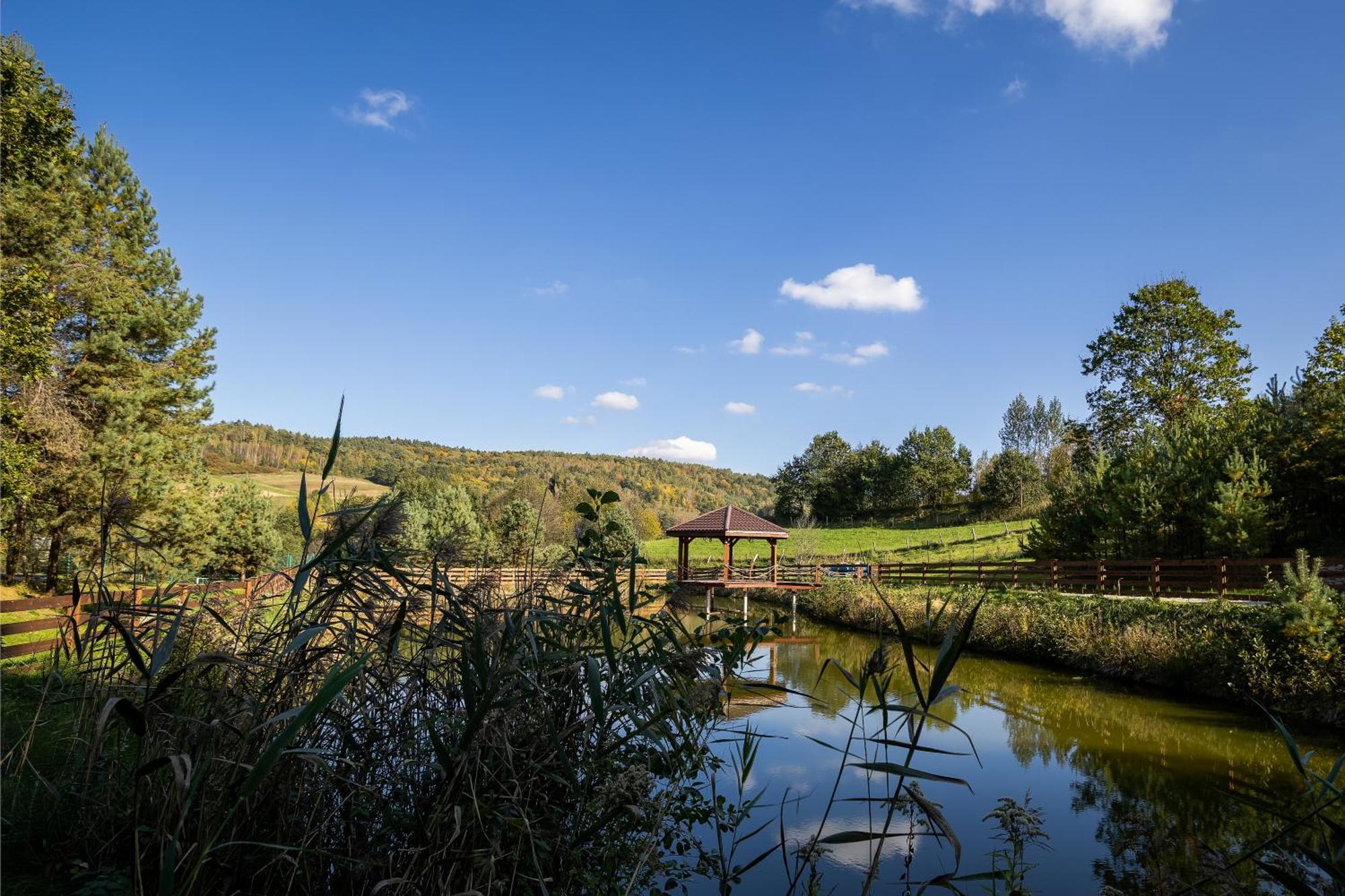 Glamping Pod Gwiazdami Pietrusza Wola Hotel Exterior photo